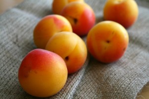 Golden Velvet Apricots on Shockingly Delicious