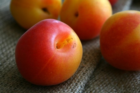 Golden Velvet Apricots on Shockingly Delicious