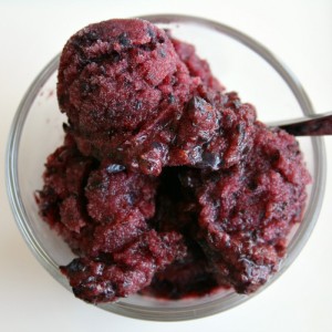 Blueberry Sorbet on Shockingly Delicious