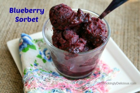 Blueberry Sorbet on Shockingly Delicious