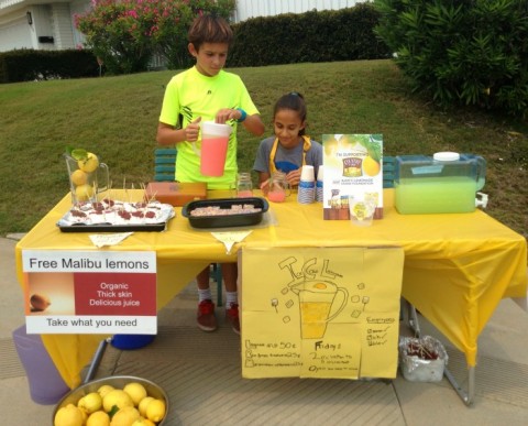 Country Time Lemonade Stand on Shockingly Delicious