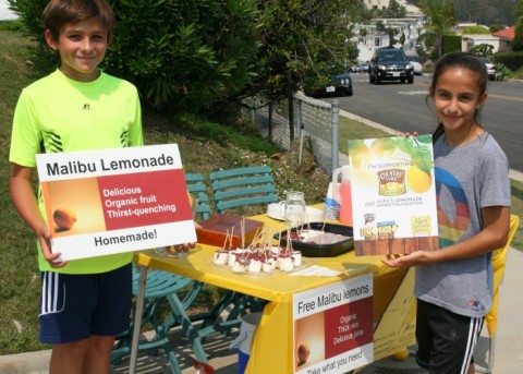 Country Time Lemonade Stand on Shockingly Delicious