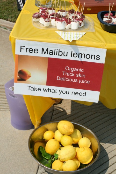 Country Time Lemonade Stand on Shockingly Delicious