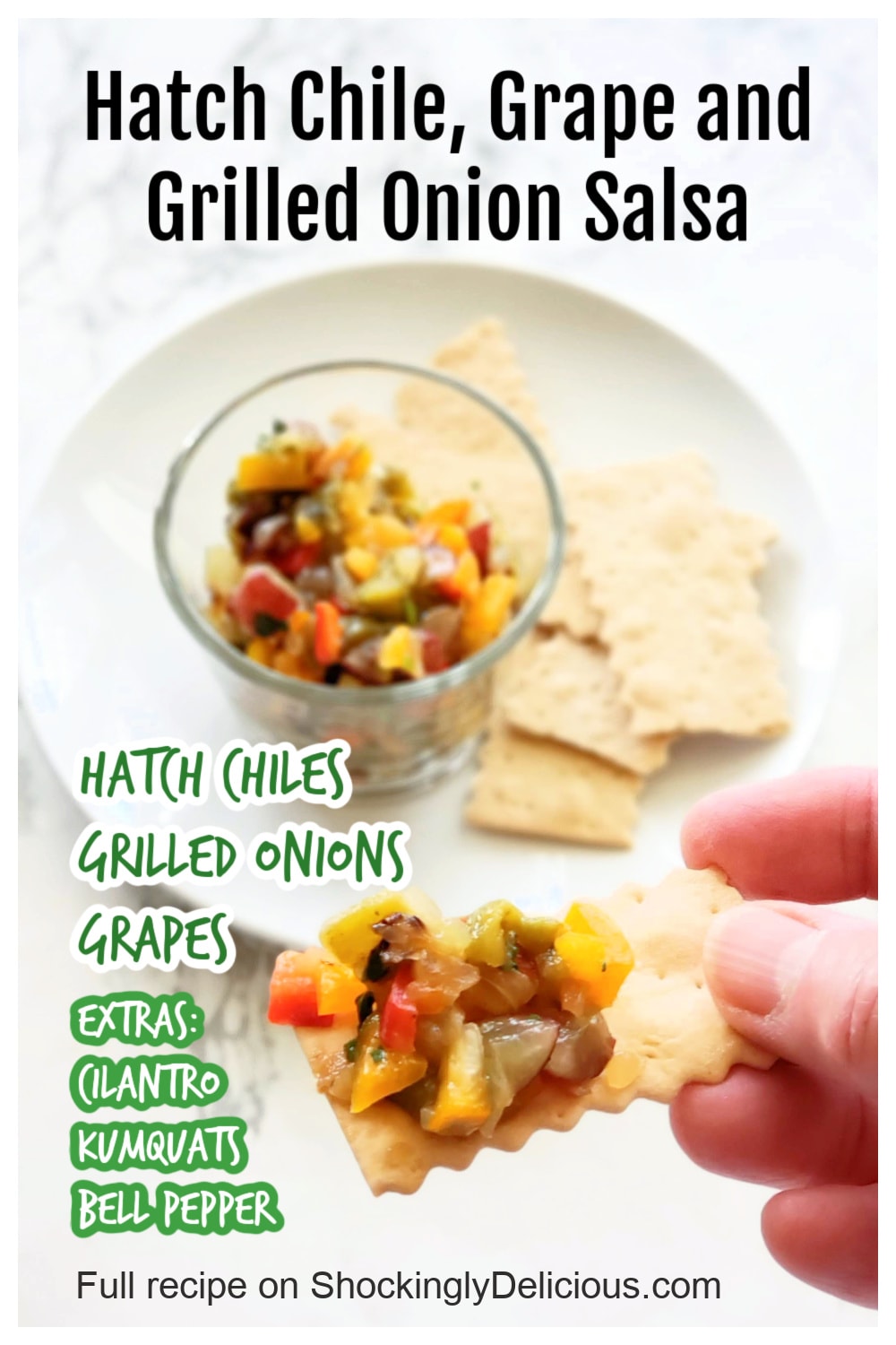 Glass bowl of salsa on a white plate with crackers alongside and a hand holding a cracker with salsa on top with words superimposed on top