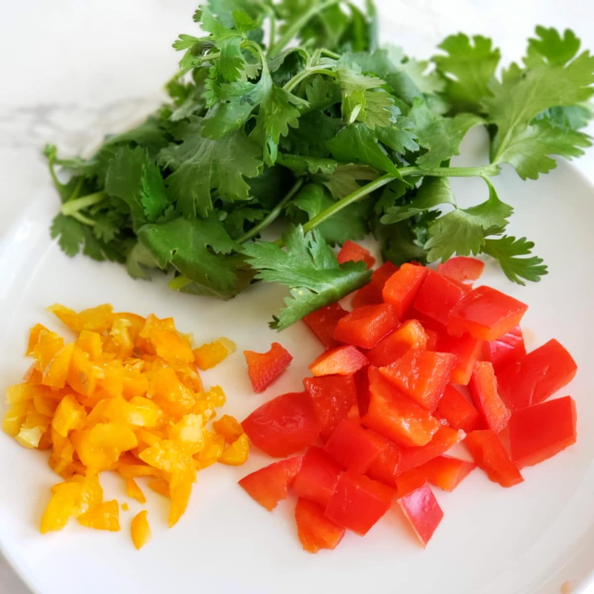 Cilantro, kumquat and red bell pepper on a white plate on ShockinglyDelicious.com