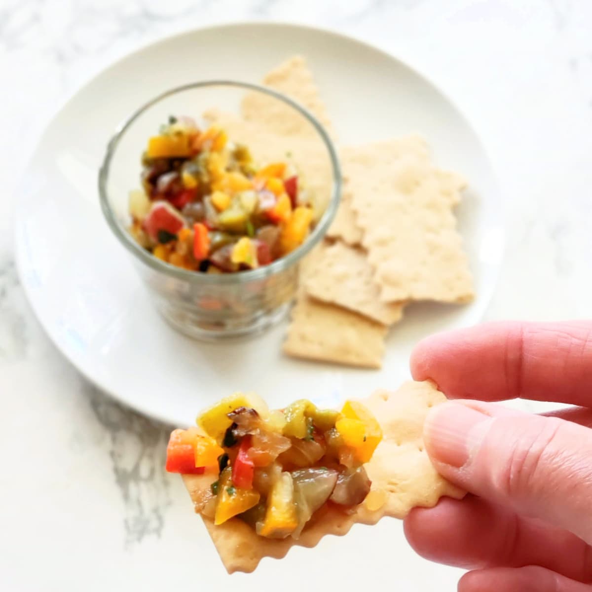 A hand holds a cracker with salsa while more salsa and crackers are in the background