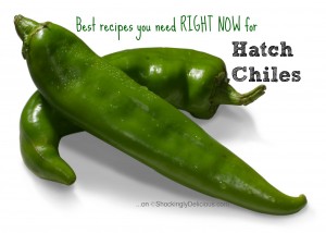Best Recipes for Hatch Chiles on Shockingly Delicious