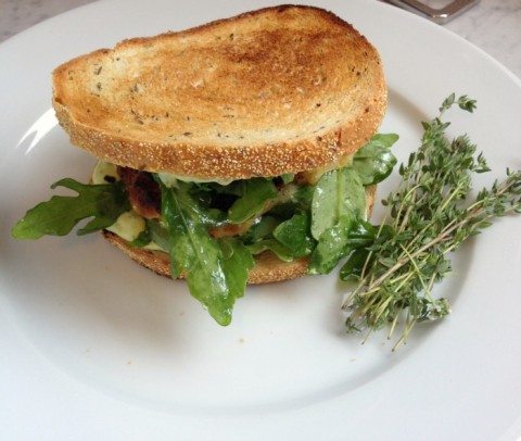 Fish Sandwich with Herbed Aioli on Shockingly Delicious