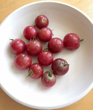 Cherry tomatoes on Shockingly Delicious
