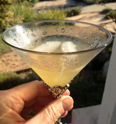 My Best Vanilla Margarita on Shockingly Delicious