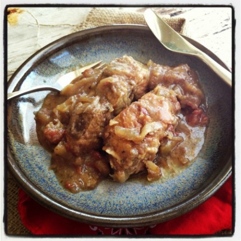 Slow Cooker Paleo Ribs in Tablecloth Stainer Sauce on Shockingly Delicious