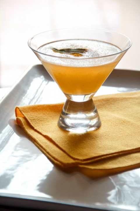 Winter Squash Cocktail by Greg Henry on Shockingly Delicious