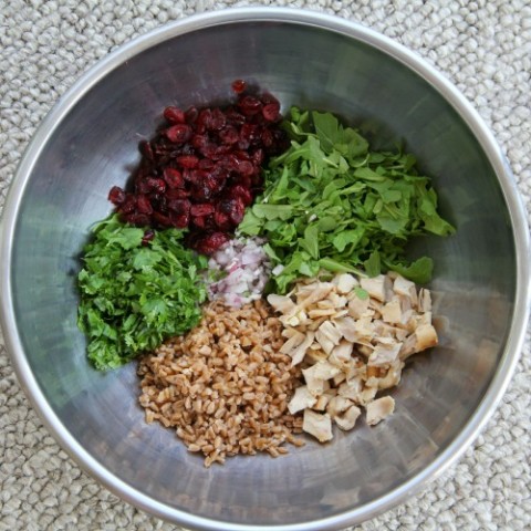 Farro Chicken Cranberry Arugula Grain Salad on Shockingly Delicious