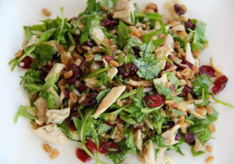 Farro Chicken Cranberry Arugula Grain Salad on Shockingly Delicious