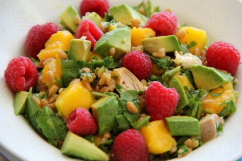 Cilantro Chicken Salad with Farro and Mango on Shockingly Delicious