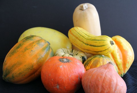 Squash varieties on Shockingly Delicious