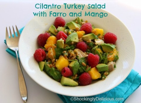 Cilantro Turkey Salad with Farro and Mango | ShockinglyDelicious.com