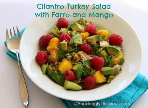 Cilantro Turkey Salad with Farro and Mango in a white bowl with a fork alongside sitting on an aqua cloth napkin