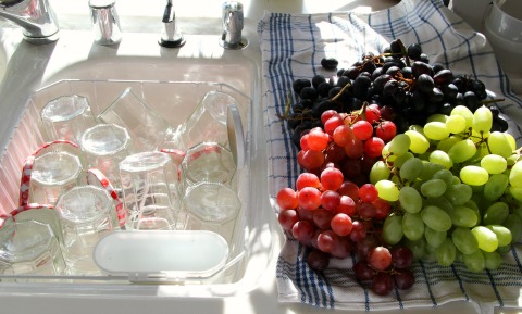Mrs. Plagemann’s Savory Pickled Grapes on the blog Shockingly Delicious
