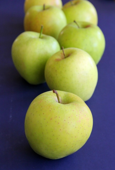 Super sweet Green Dragon Apples are available nationally -- worth finding! Taste: perfumed Green Delicious crossed with a pear, only better!   