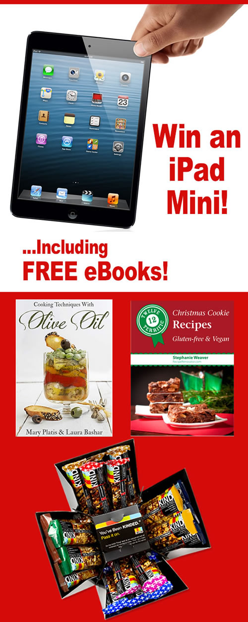 iPad Mini #Giveaway Dec. 1-16 -- www.ShockinglyDelicious.com