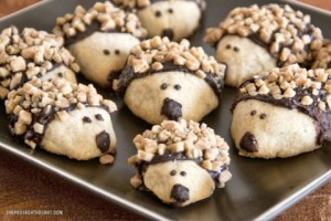 Baby HedgeHog Cookies from She Paused 4 Thought