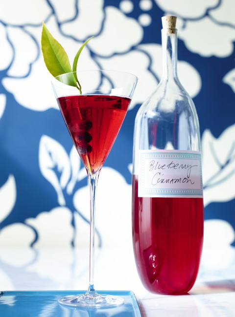 Blueberry Cinnamon Liqueur | www.ShockinglyDelicious.com