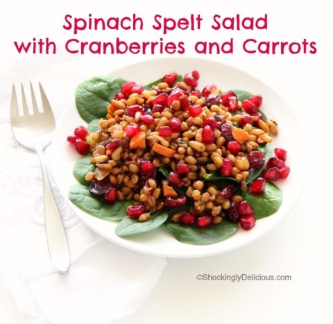 Spinach Spelt Salad with Cranberries and Carrots | www.ShockinglyDelicious.com