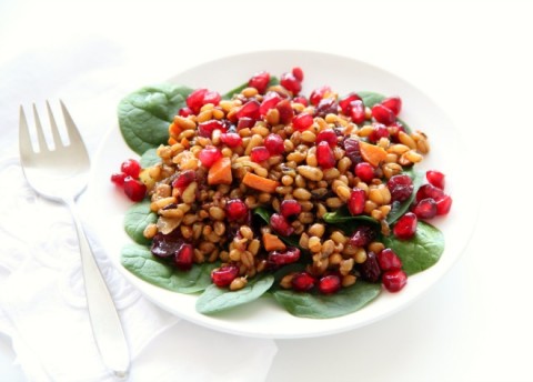 Spinach Spelt Salad with Cranberries and Carrots | www.ShockinglyDelicious.com