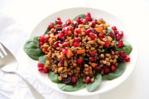 Spinach Spelt Salad with Cranberries and Carrots | www.ShockinglyDelicious.com