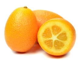 Kumquats on Shockingly Delicious