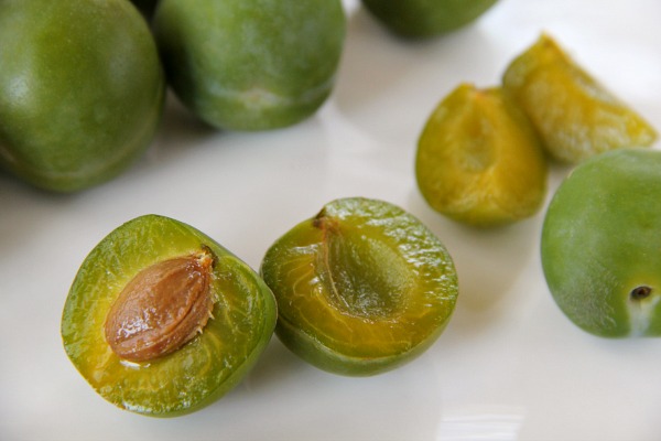 Greengage Plums | www.ShockinglyDelicious.com