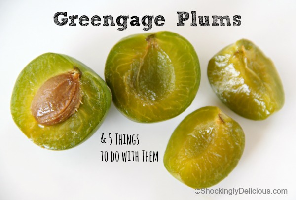Greengage tree discount