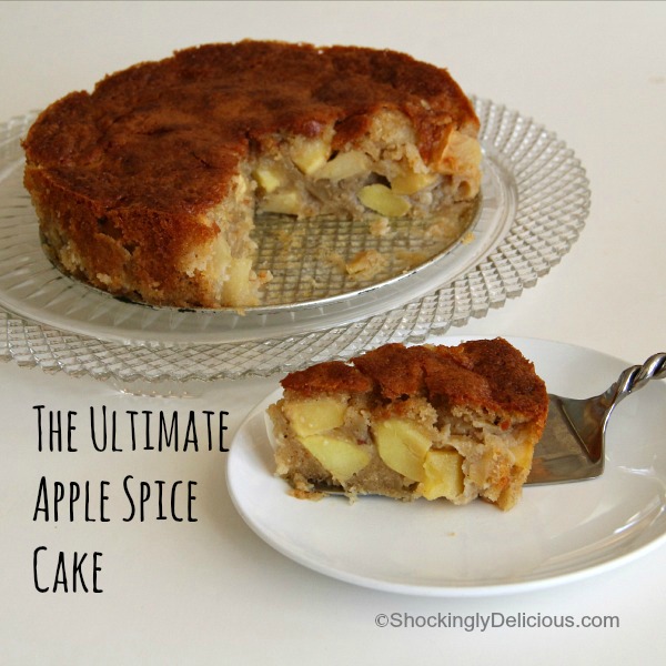 The Ultimate Apple Spice Cake | www.ShockinglyDelicious.com