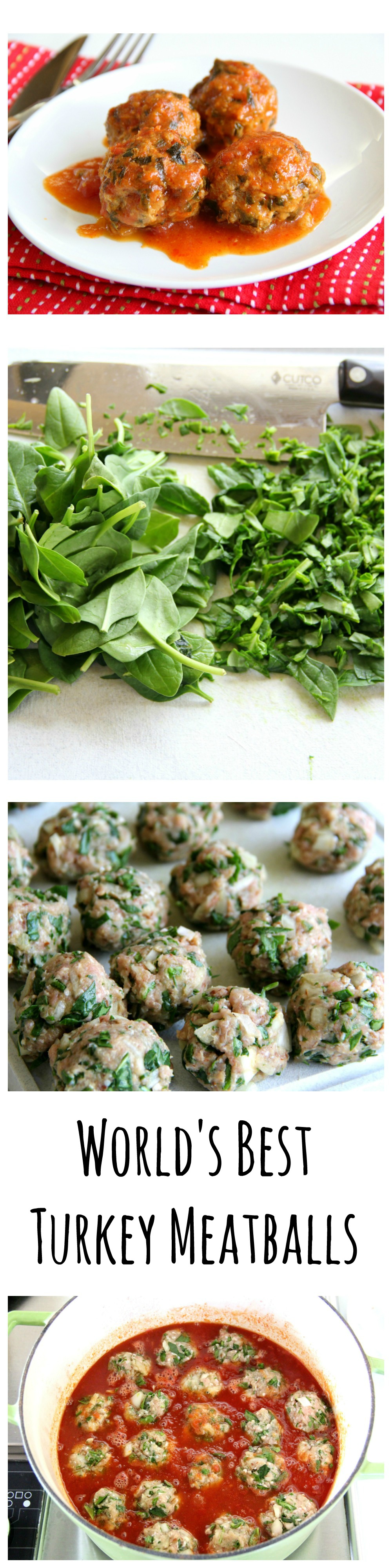 World's Best Turkey Meatballs photo collage with the recipe on ShockinglyDelicious.com