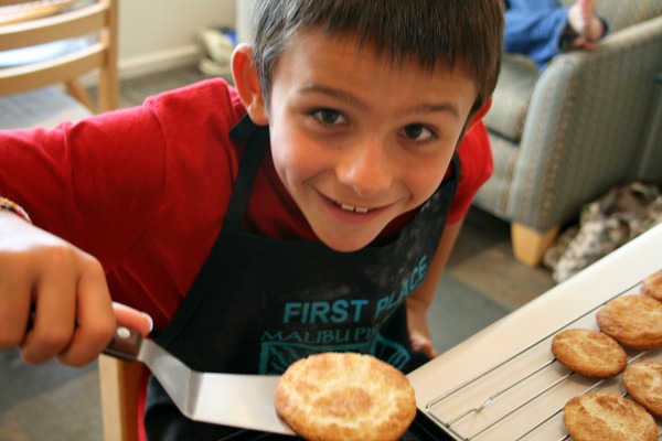 Spiced Snickerdoodles / www.ShockinglyDelicious.com