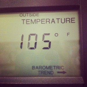 105 temperature on Shockingly Delicious