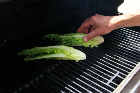 Grilled Caesar Salad | ShockinglyDelicious.com