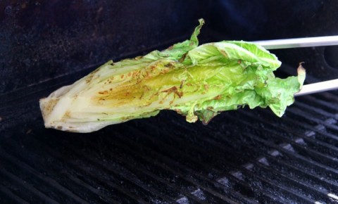 Grilled Caesar Salad | ShockinglyDelicious.com