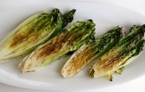 Grilled Caesar Salad | ShockinglyDelicious.com