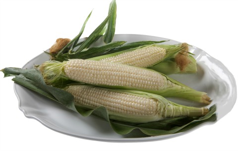 Amaize Sweet White Corn | ShockinglyDelicious.com