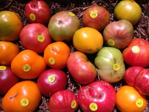 Heirloom Caprese Salad | ShockinglyDelicious.com