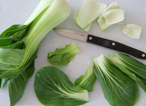 Baby Bok Choy Chips | ShockinglyDelicious.com