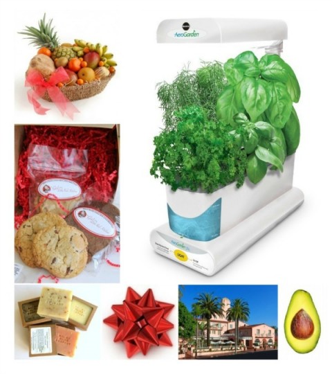 2014 Holiday Gift Guide for Foodies | 6 Christmas Gifts for Foodies | ShockinglyDelicious.com