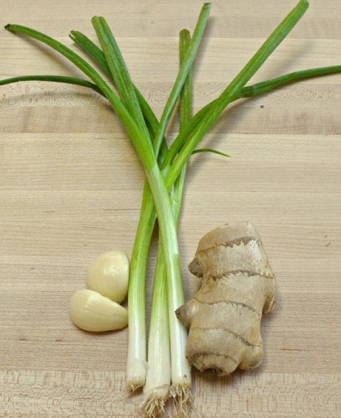 Sautéed Ginger-Scallion Shrimp | Delicious easy shrimp recipe | ShockinglyDelicious.com