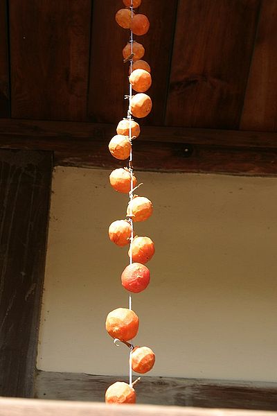 Persimmons drying on a string on ShockinglyDelicious.com