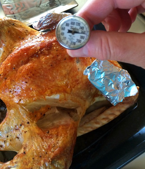Easiest 1-Hour Turkey | Quick Roast Thanksgiving Turkey | ShockinglyDelicious.com