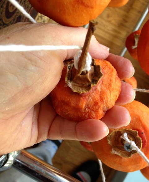 Massage the persimmons on Shockingly Delicious