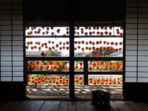 Persimmons drying like a window curtain in Japan on ShockinglyDelicious.com