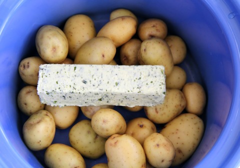 Potatoes and herb butter for Slow Cooker Rustic Mashed Potatoes on ShockinglyDelicious.com